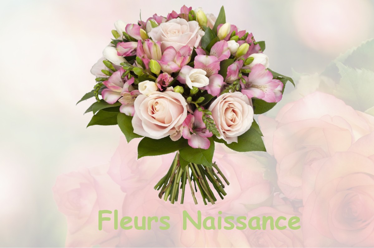 fleurs naissance PONLAT-TAILLEBOURG