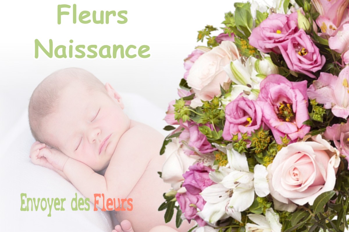 lIVRAISON FLEURS NAISSANCE à PONLAT-TAILLEBOURG